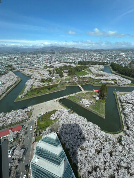 五稜郭, 函館, 桜, 5月